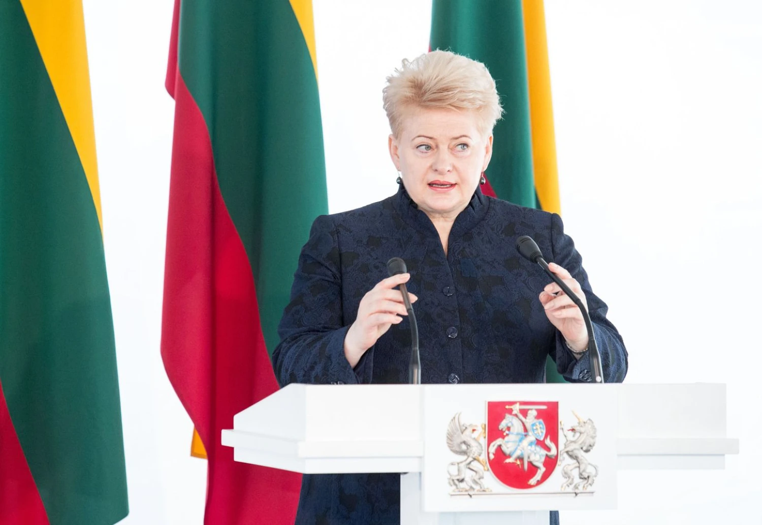 Prezidentė Dalia Grybauskaitė. Juditos Grigelytės (VŽ) nuotr.