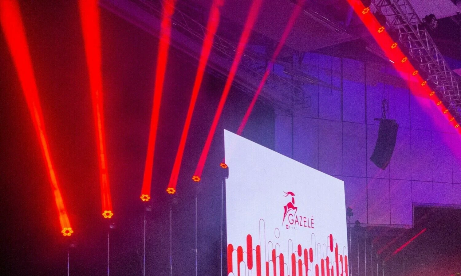 Vladimiro Ivanovo (VŽ) nuotr.