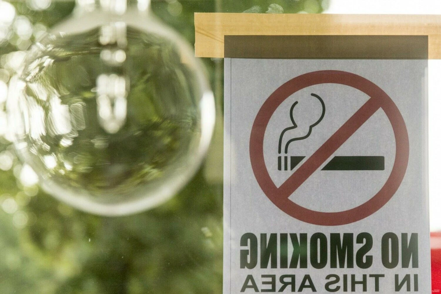 Vladimiro Ivanovo (VŽ) nuotr.