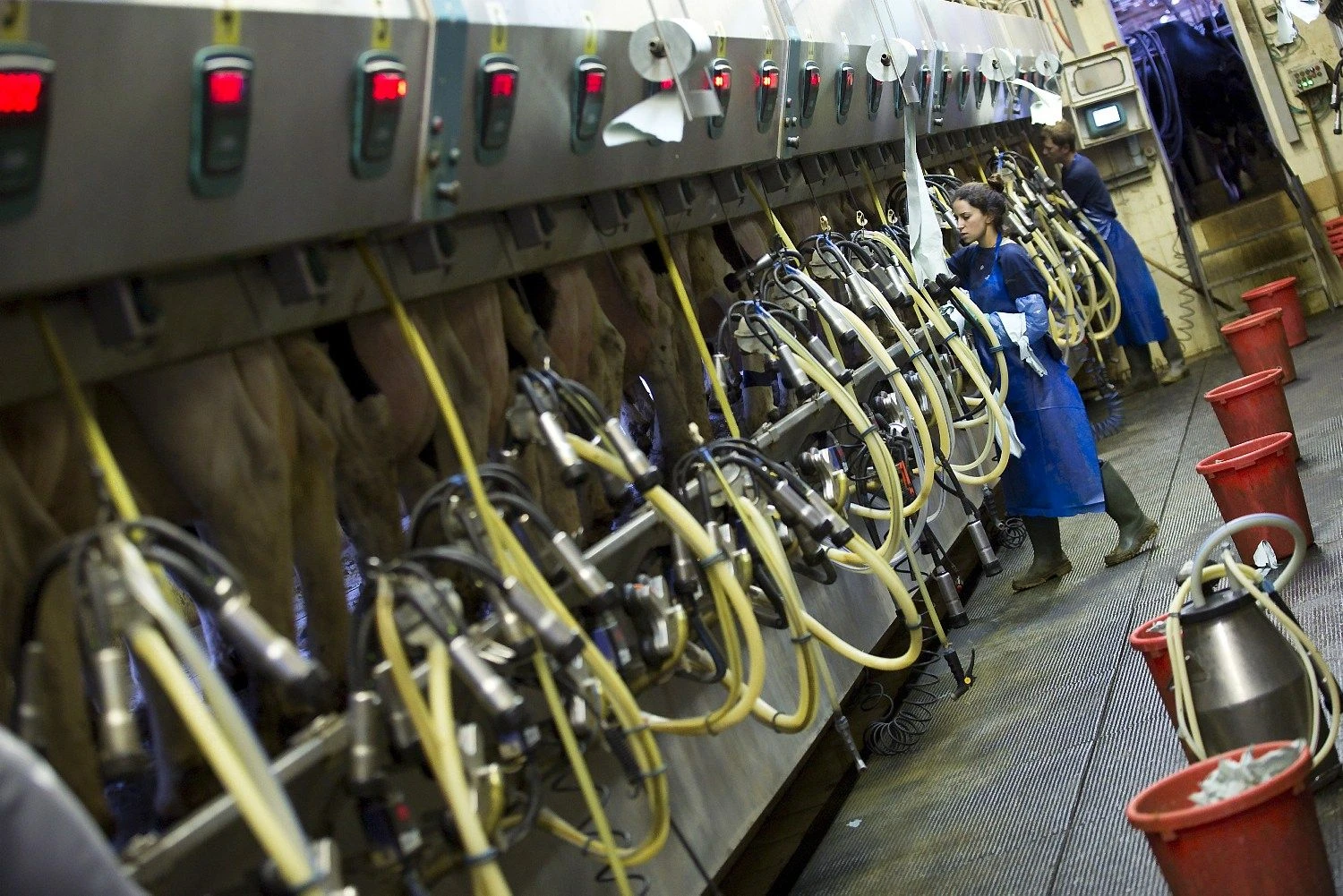 Amiro Coheno („Reuters“ / „Scanpix“) nuotr.