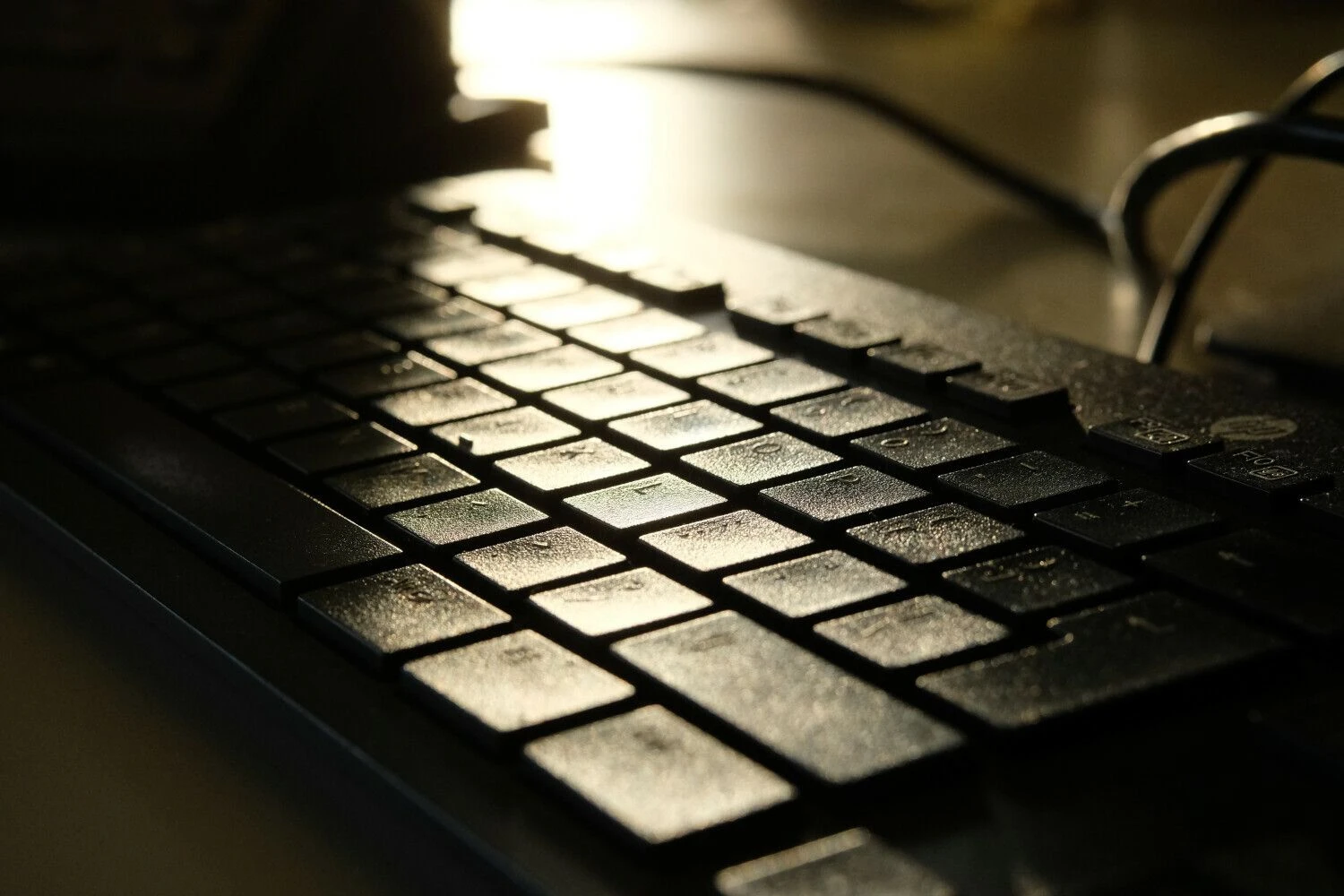 Vladimiro Ivanovo (VŽ) nuotr.