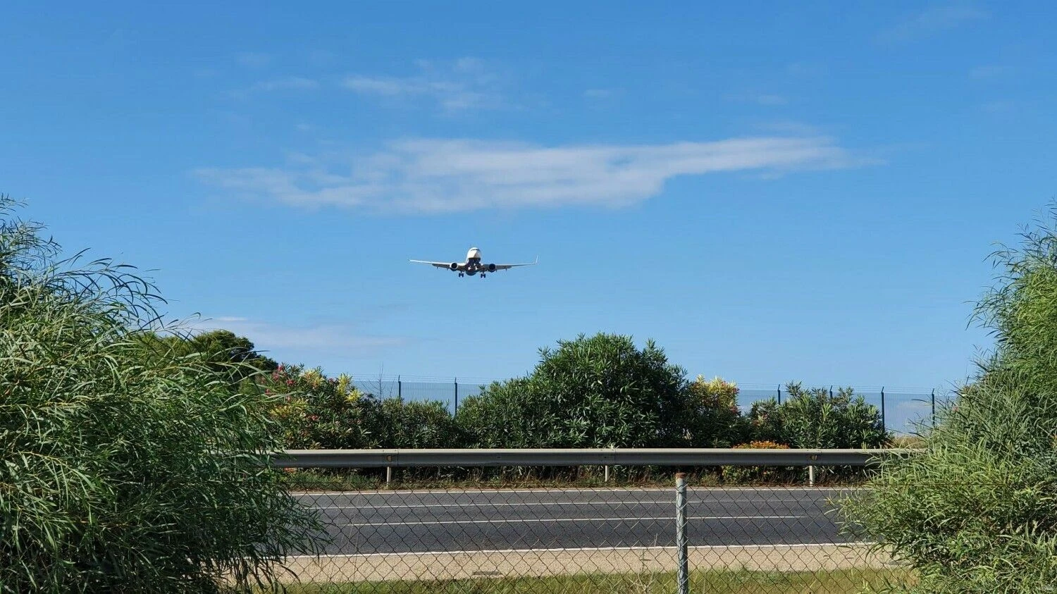 Lino Butkaus (VŽ) nuotr.