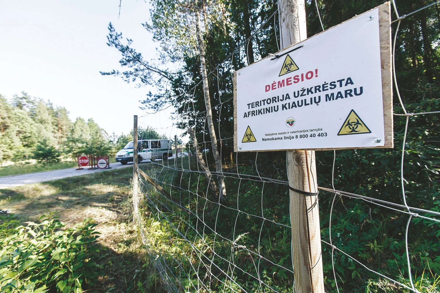 Tiek AKM židinių, kiek pernai buvo užfiksuota per visus metus, šiemet nustatyta per 7 mėnesius. Vladimiro Ivanovo (VŽ) nuotr.