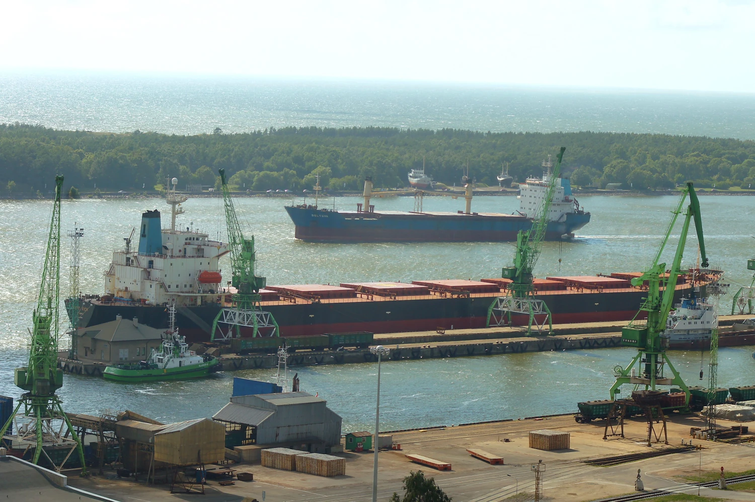 Algimanto Kalvaičio (VŽ) nuotr.