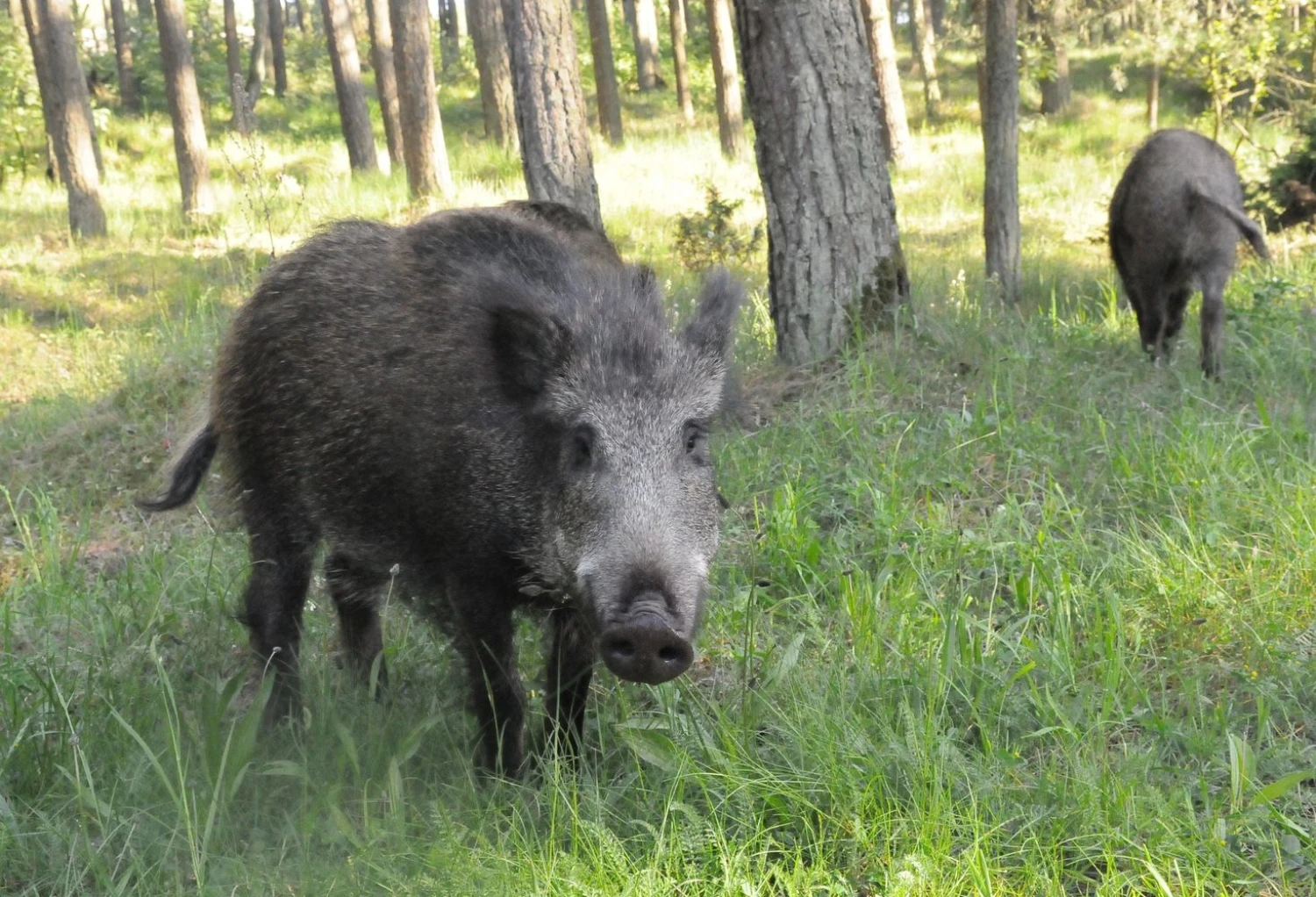 Aušros Barysienės nuotr.