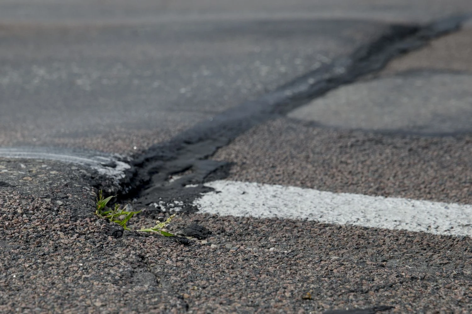 Vladimiro Ivanovo (VŽ) nuotr.