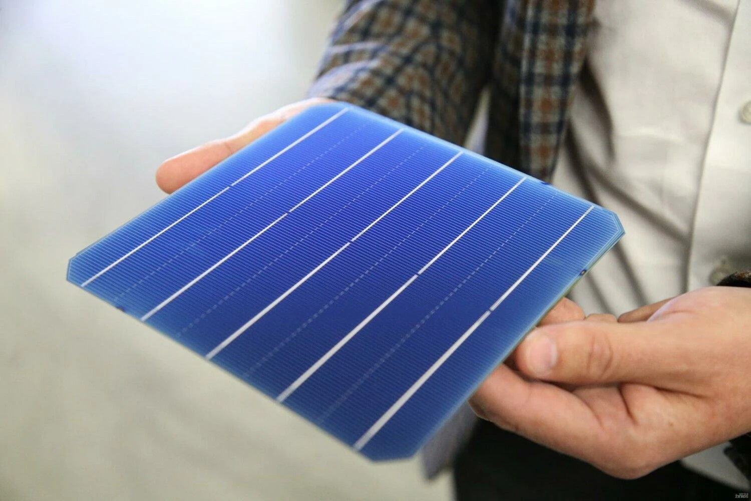 Vladimiro Ivanovo (VŽ) nuotr.