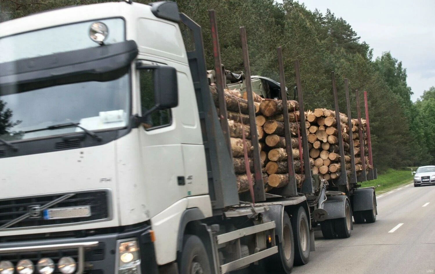 Juditos Grigelytės (VŽ) nuotr.