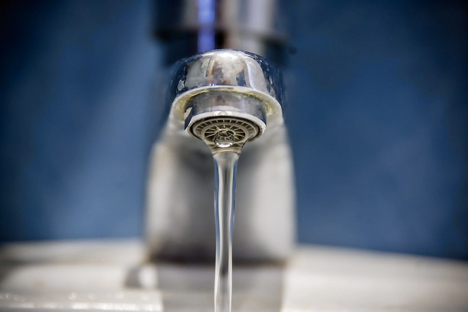  Vladimiro Ivanovo (VŽ) nuotr.