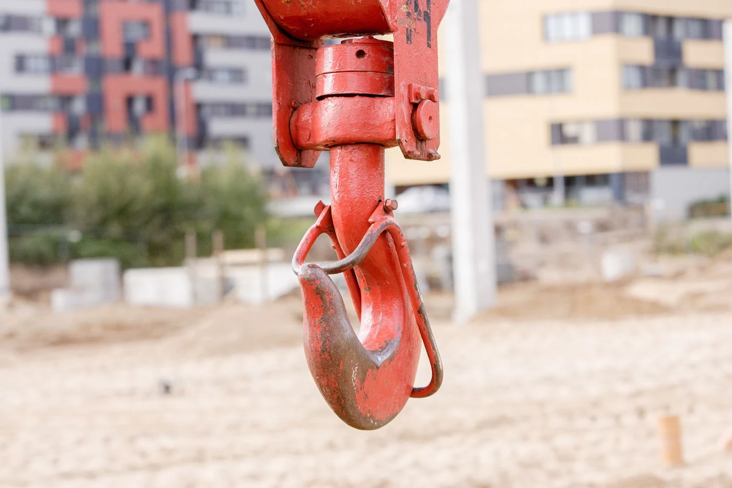 Vladimiro Ivanovo (VŽ) nuotr.