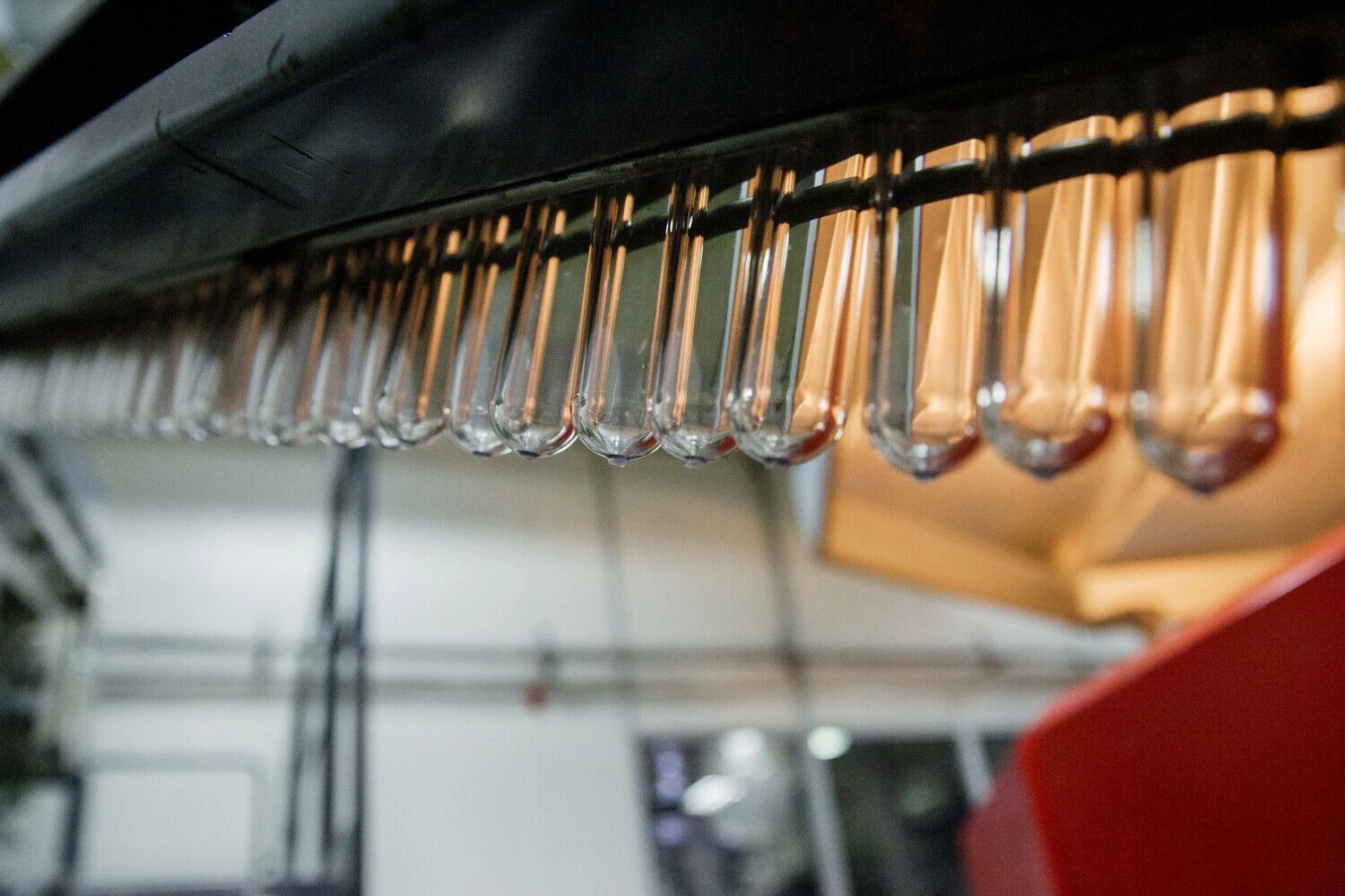 Vladimiro Ivanovo (VŽ) nuotr.