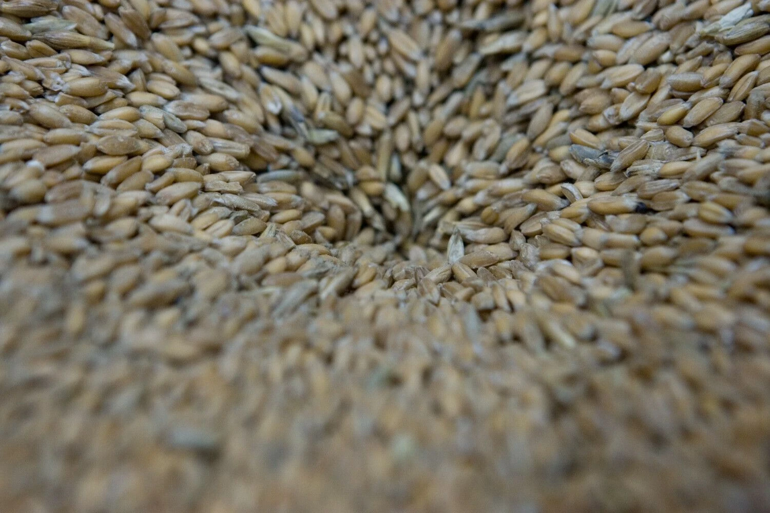 Juditos Grigelytės (VŽ) nuotr.