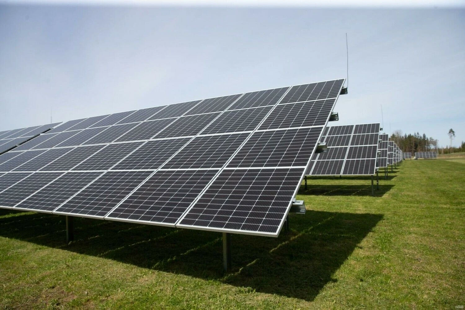 Juditos Grigelytės (VŽ) nuotr.