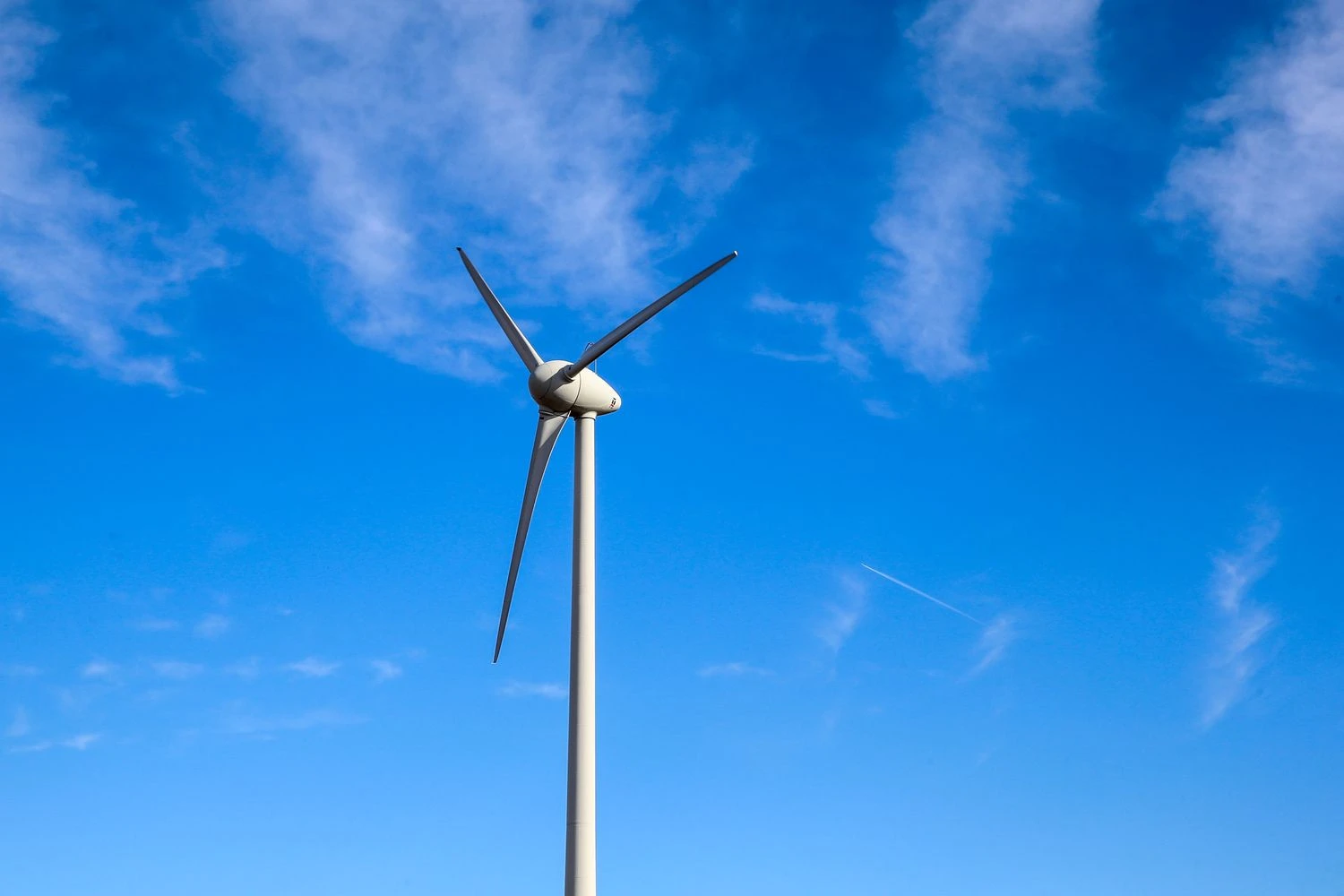 Vladimiro Ivanovo (VŽ) nuotr.