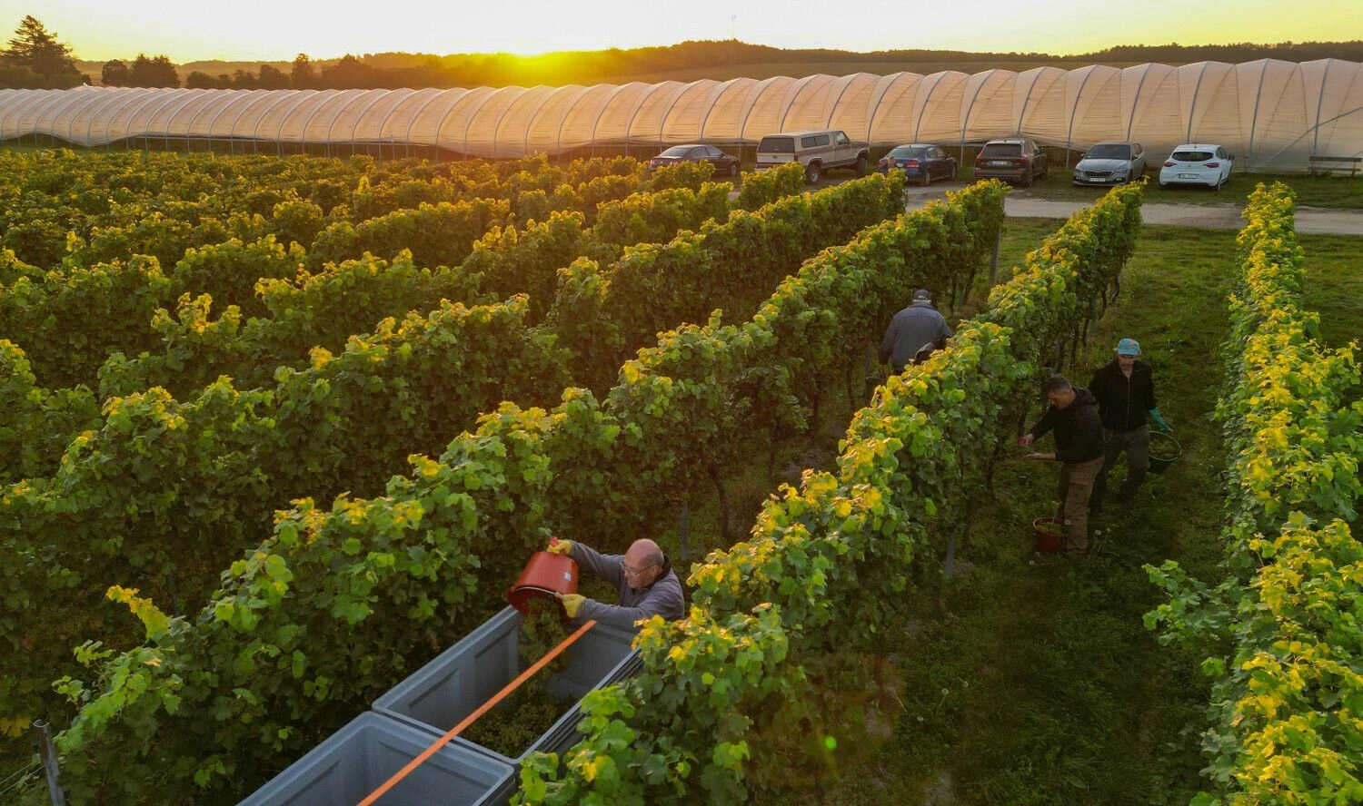 DPA / „Scanpix“ nuotr.