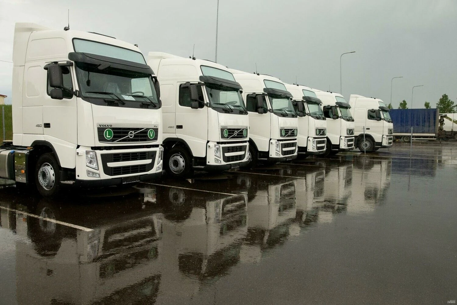 Vladimiro Ivanovo (VŽ) nuotr.