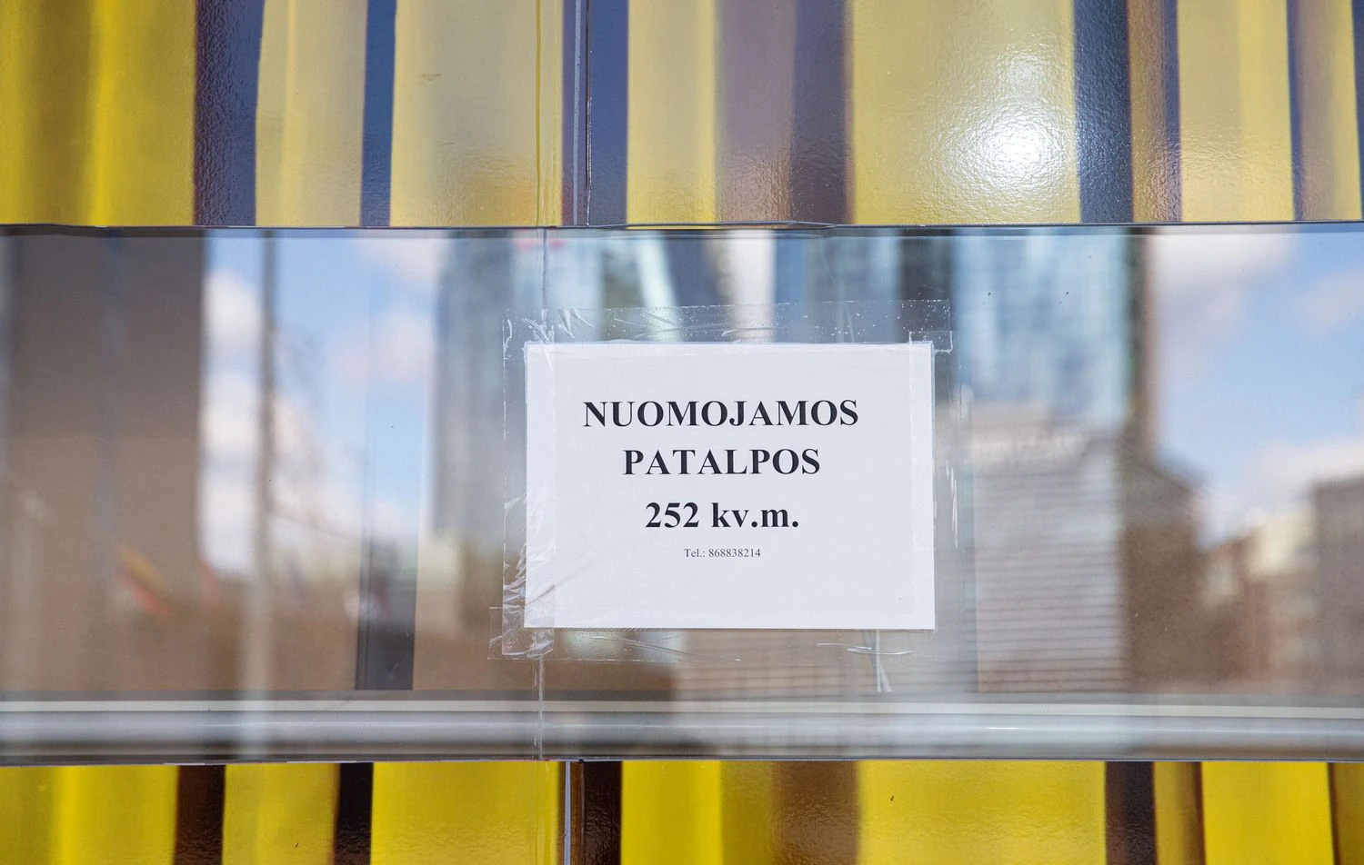 Juditos Grigelytės (VŽ) nuotr.