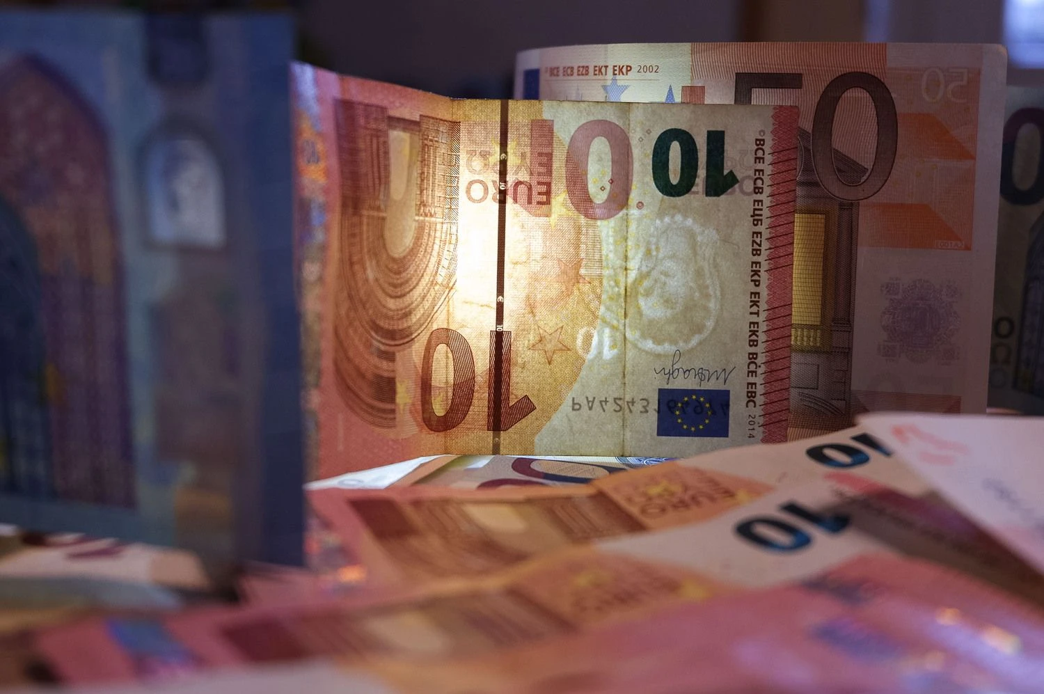 Vladimiro Ivanovo (VŽ) nuotr.