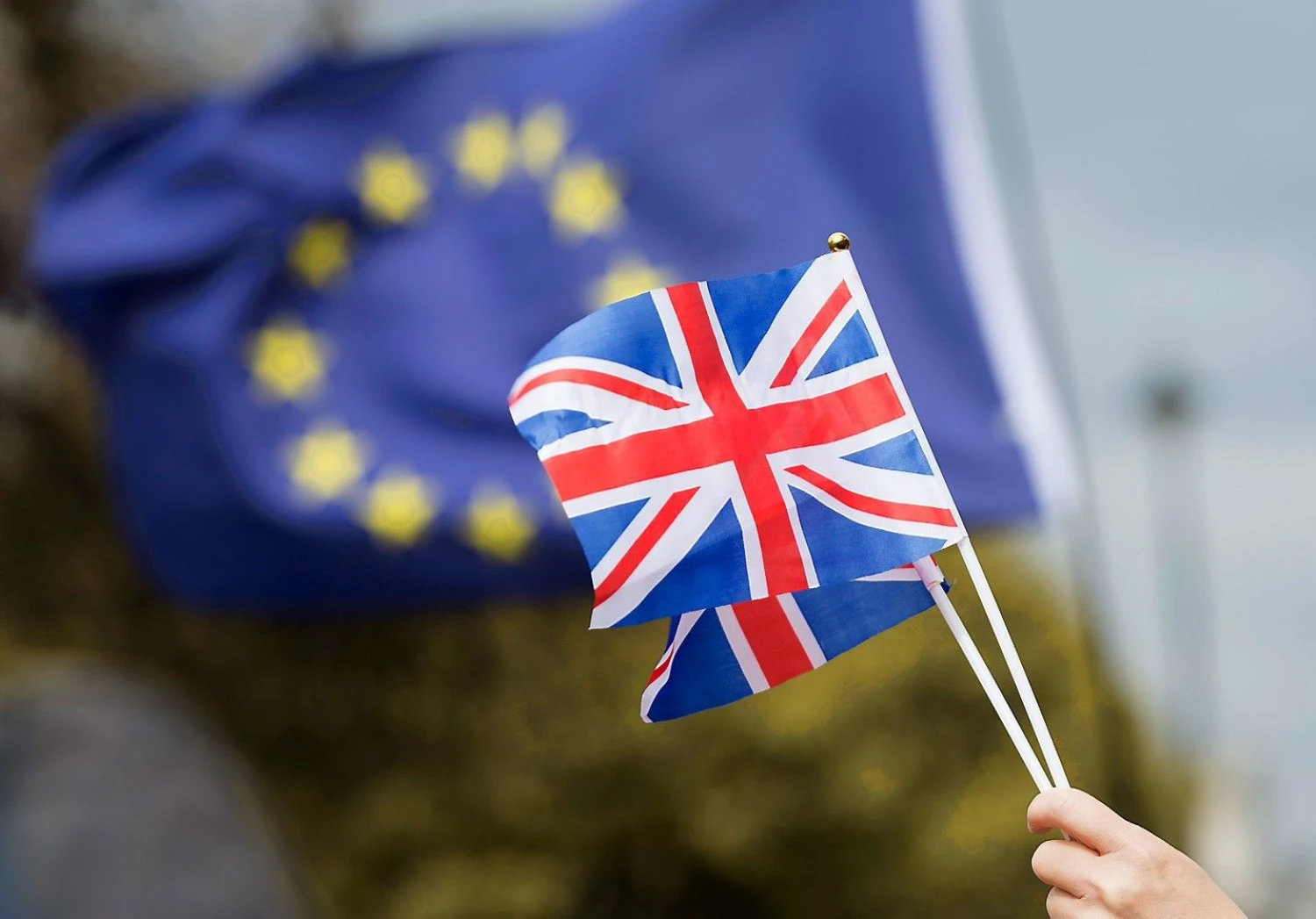 Alex McNaughton / Sputnik