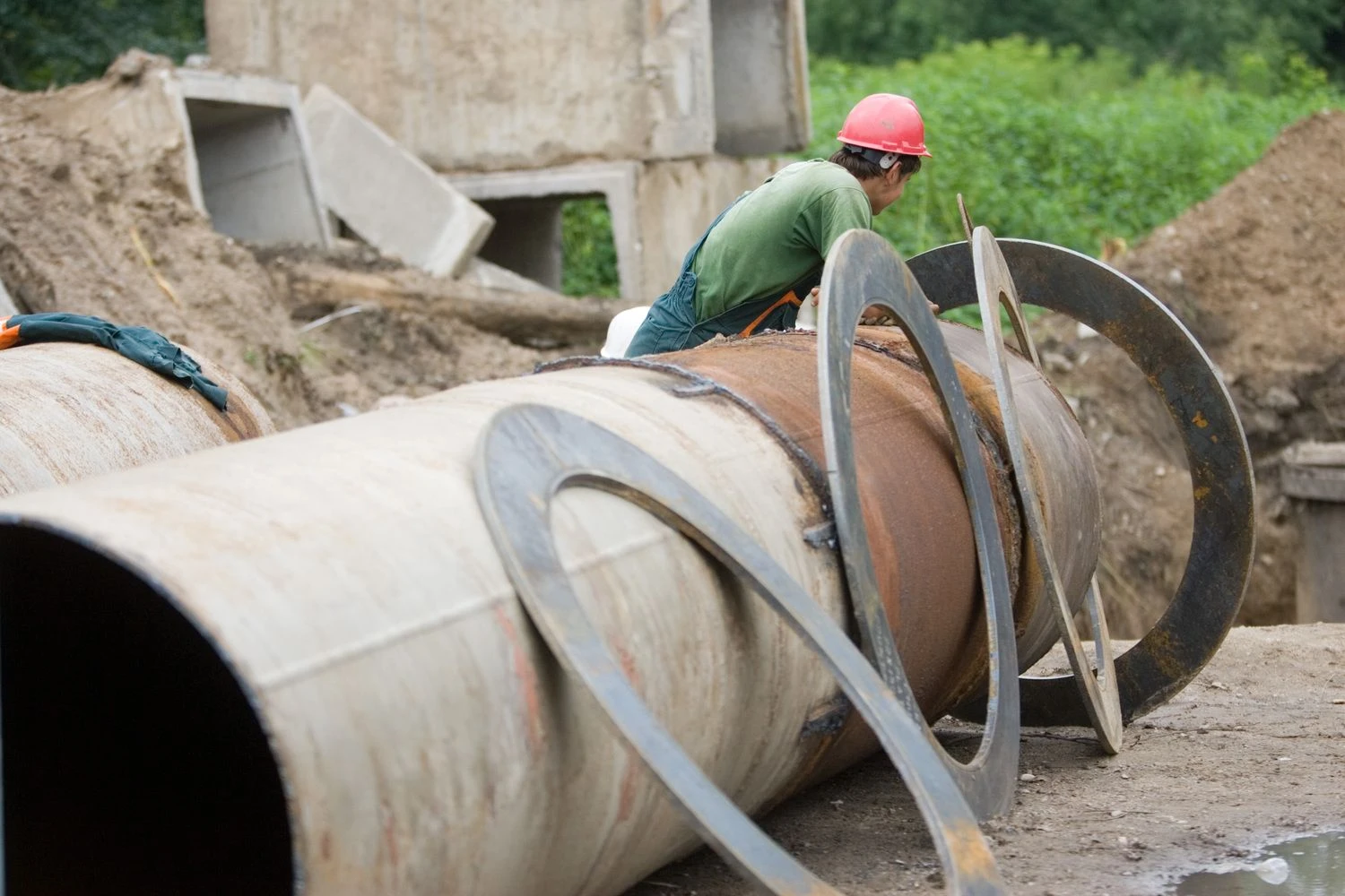 Vladimiro Ivanovo (VŽ) nuotr.