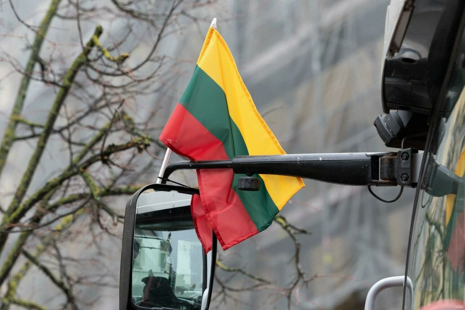 Juditos Grigelytės (VŽ) nuotr.