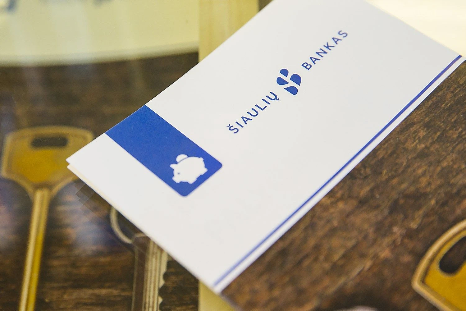 Vladimiro Ivanovo (VŽ) nuotr.