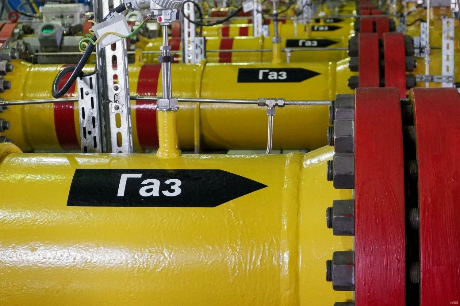 Naglio Navako (VŽ) nuotr.