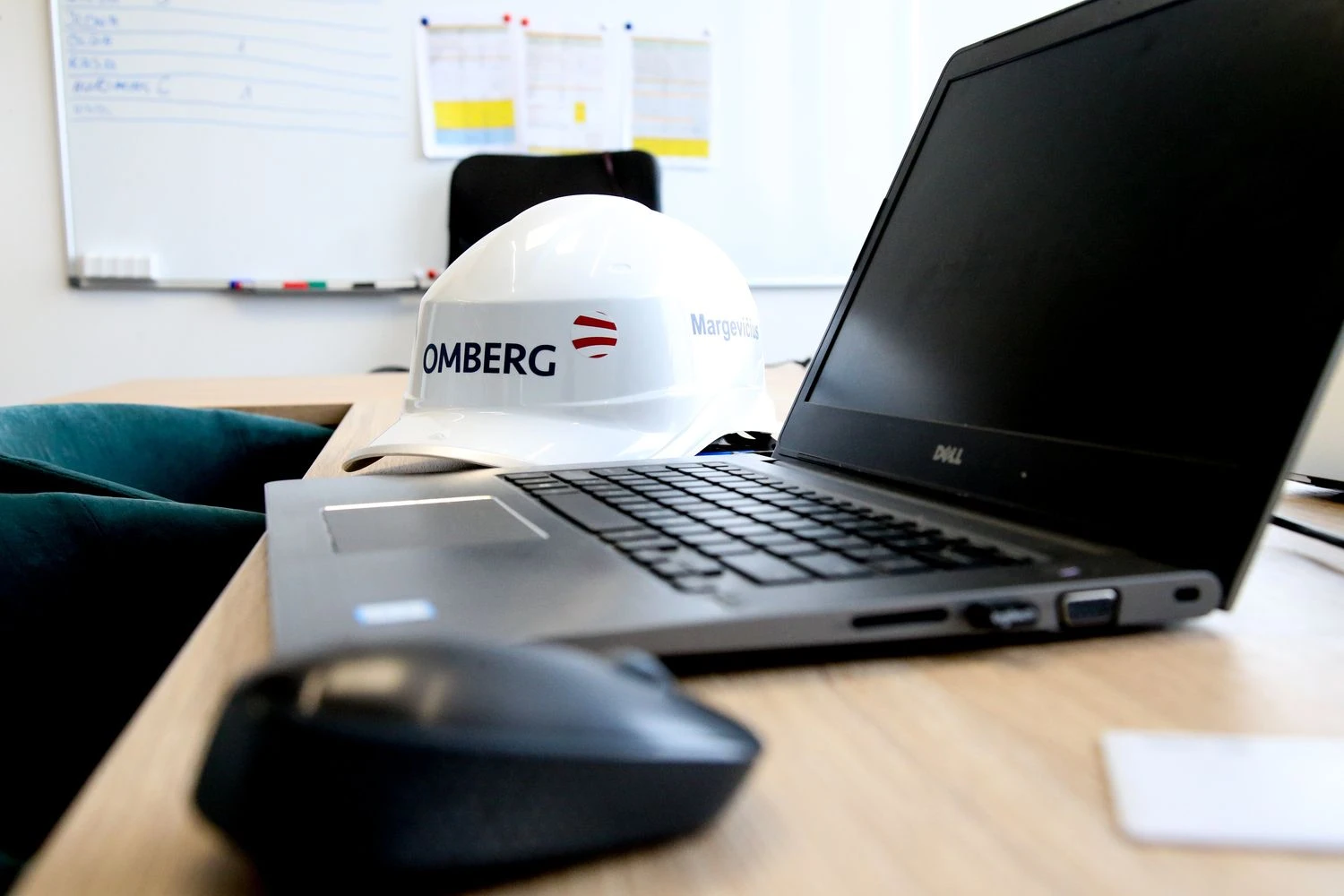 Vladimiro Ivanovo (VŽ) nuotr.