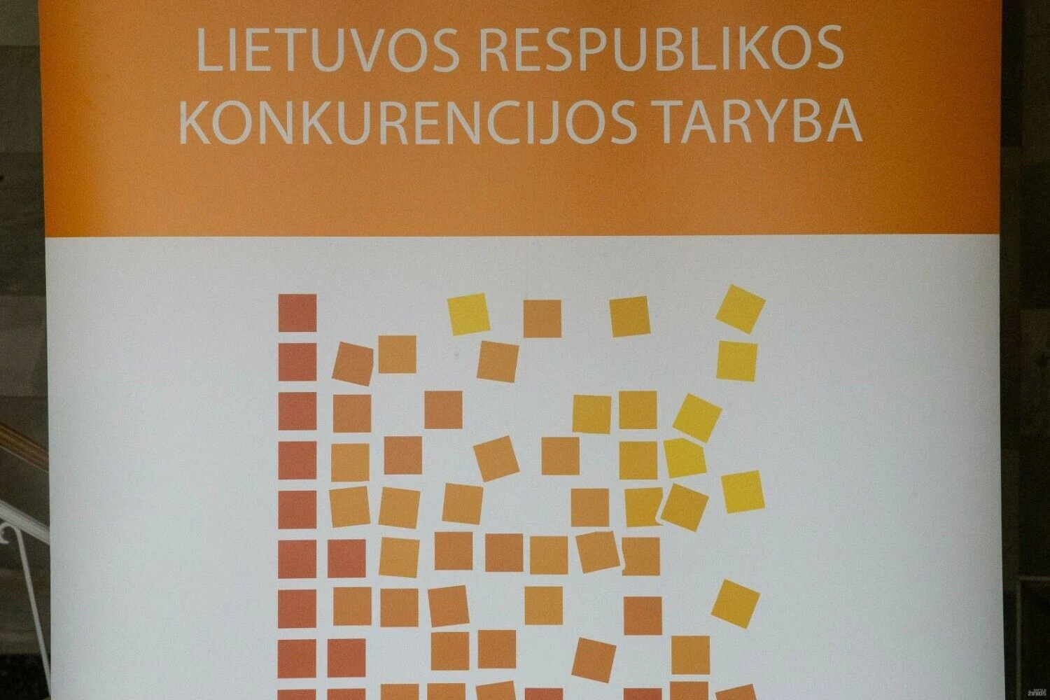 Vladimiro Ivanovo (VŽ) nuotr.