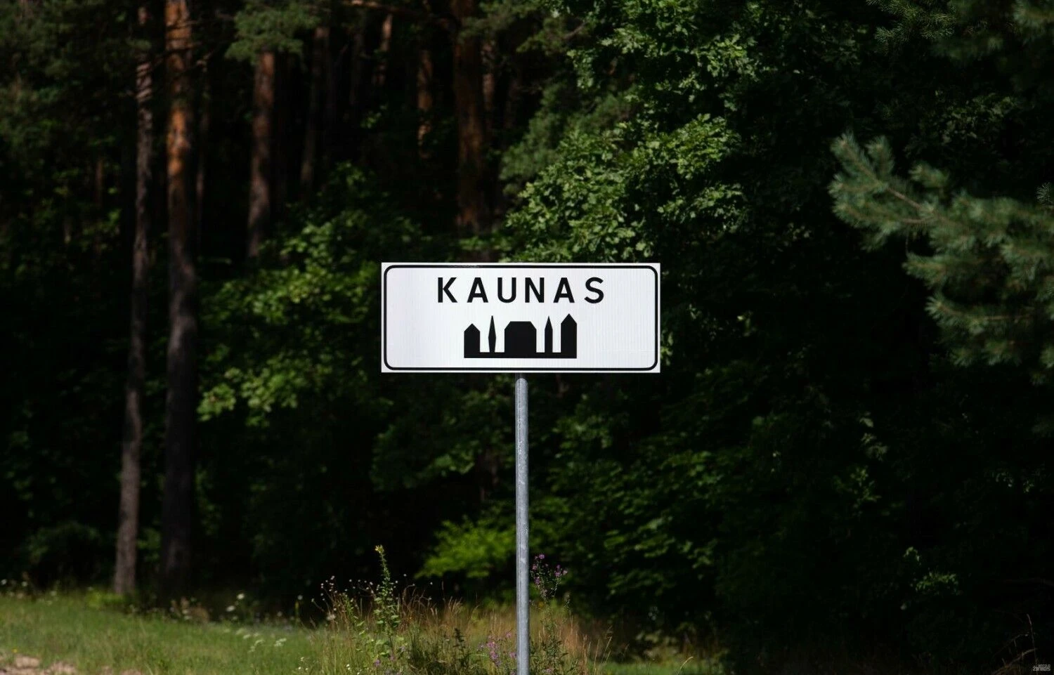 Juditos Grigelytės (VŽ) nuotr.