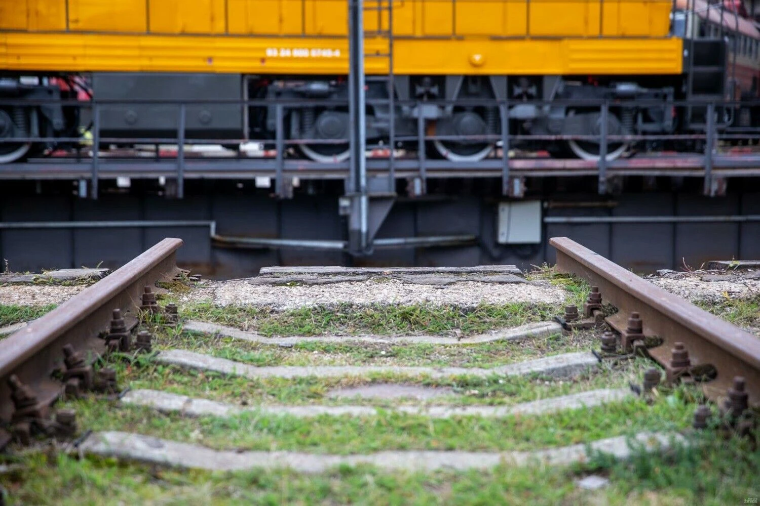 Vladimiro Ivanovo (VŽ) nuotr.