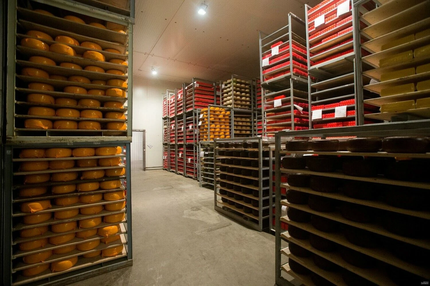 Vladimiro Ivanovo (VŽ) nuotr.