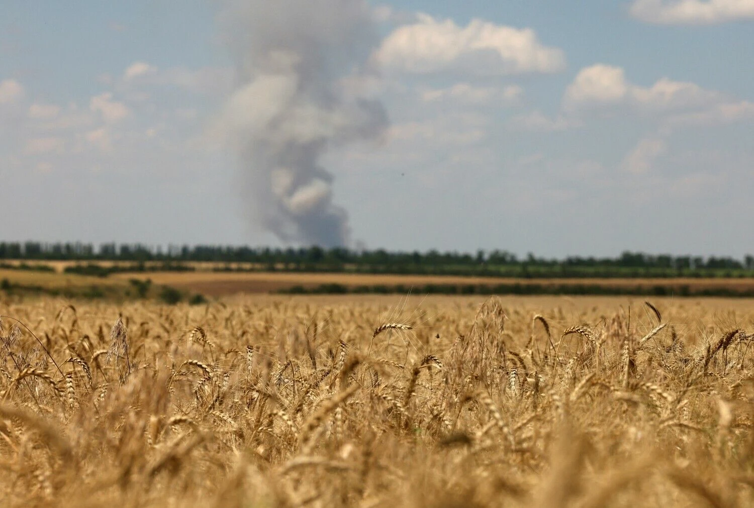 Anatolijaus Stepanovo (AFP/ „Scanpix“) nuotr.