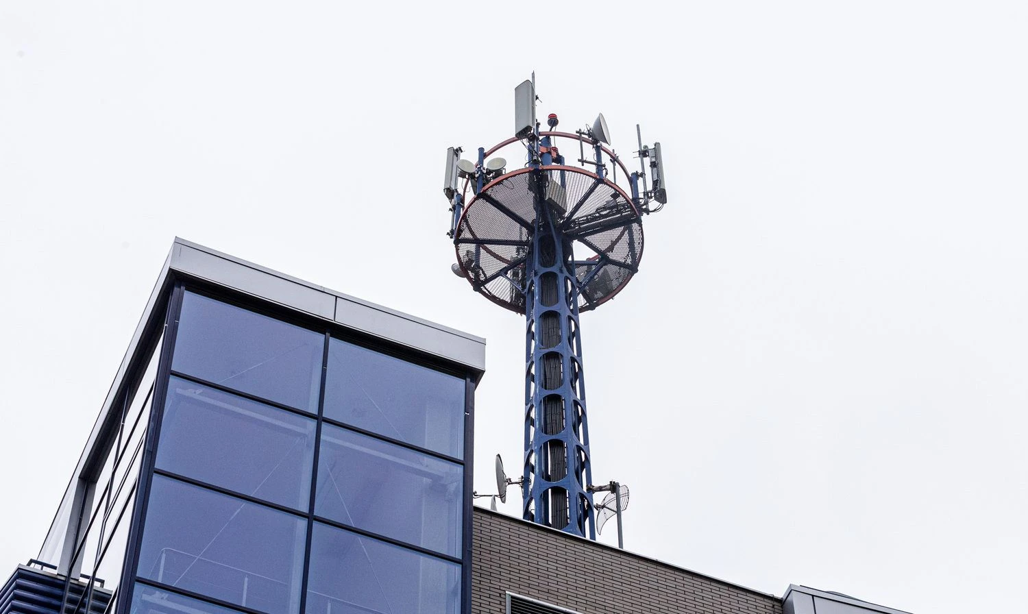 Juditos Grigelytės (VŽ) nuotr.