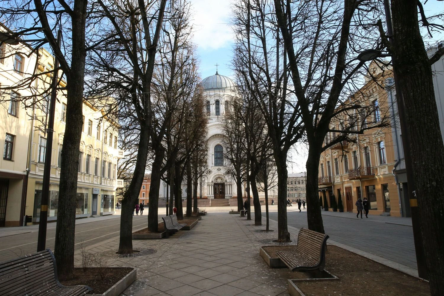 Kauno Laisvės alėja. Vladimiro Ivanovo (VŽ) nuotr.
