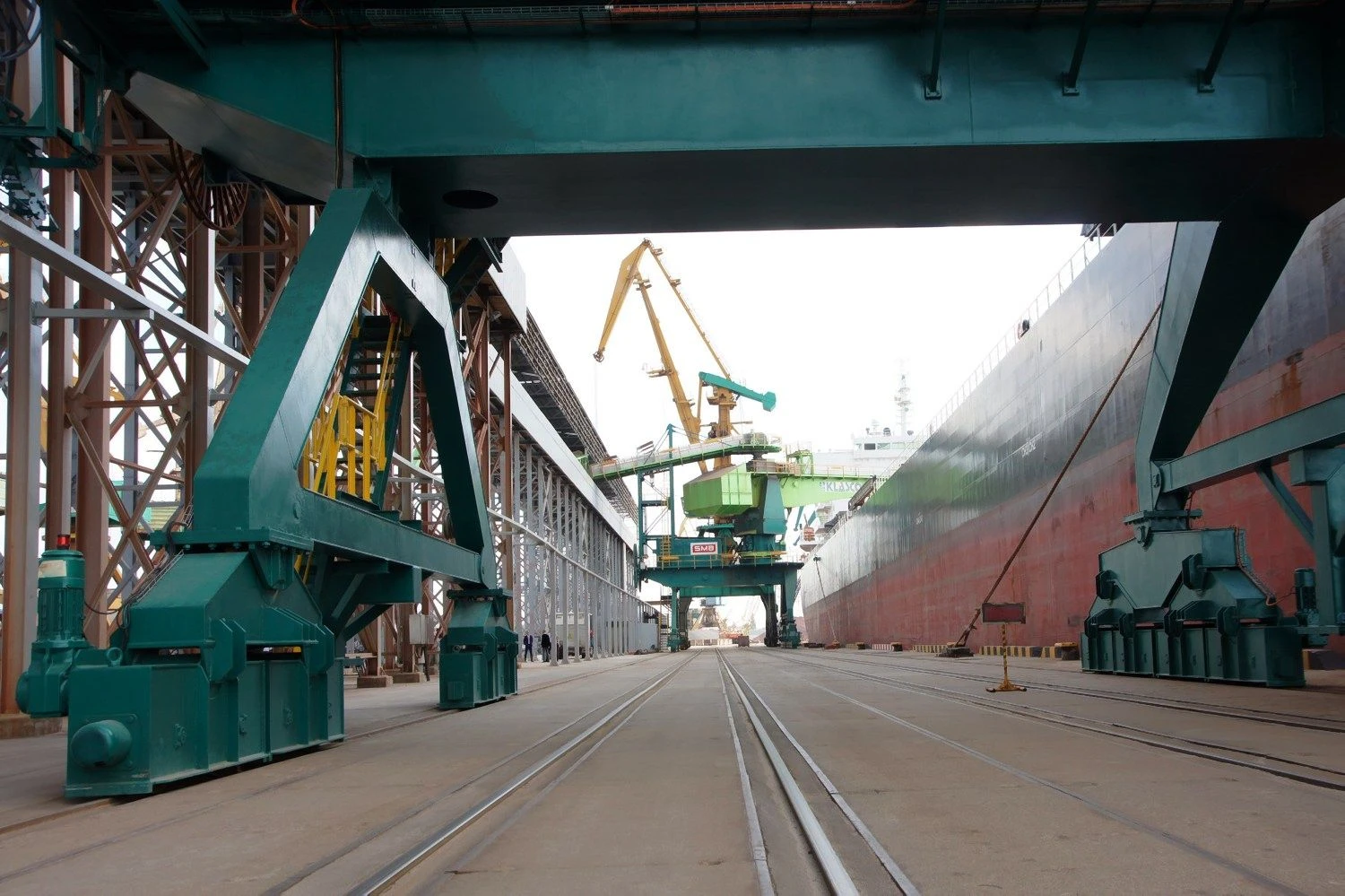 Algimanto Kalvaičio nuotr.
