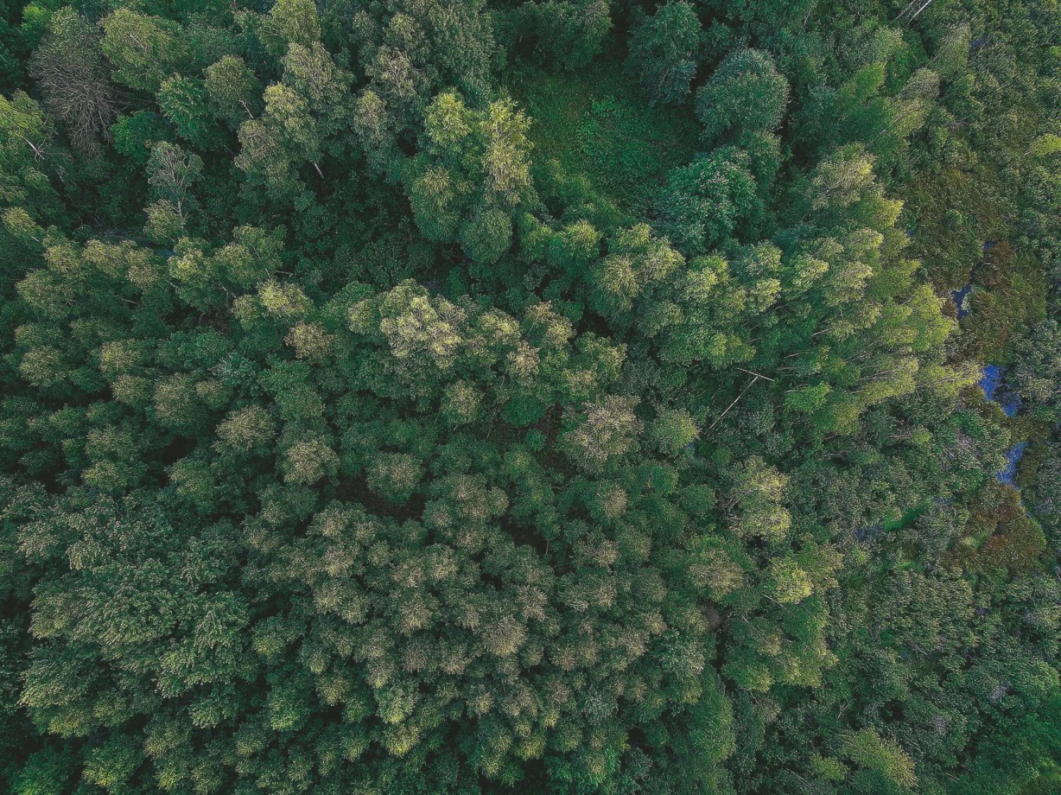 Juditos Grigelytės (VŽ) nuotr.