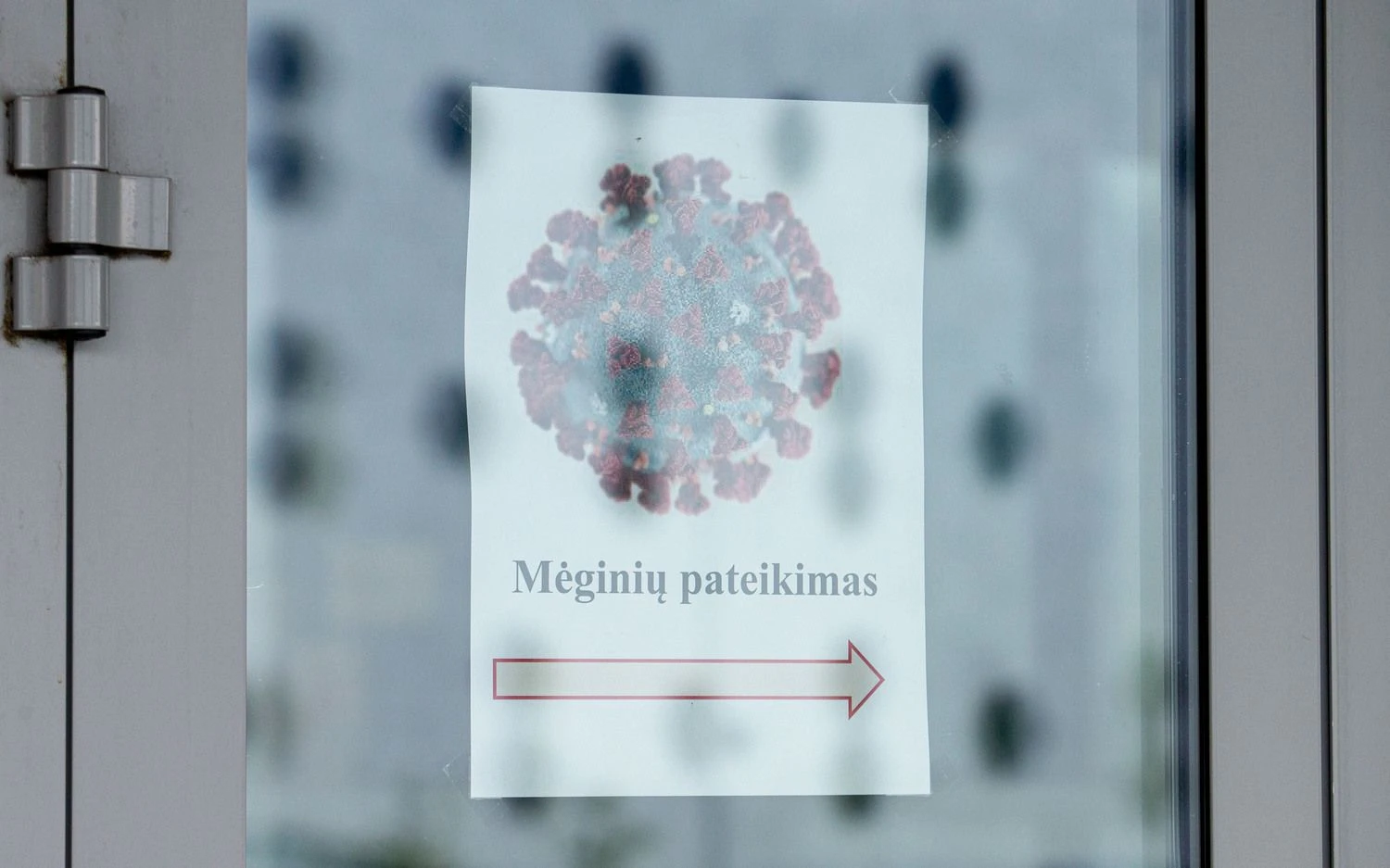 Juditos Grigelytės (VŽ) nuotr.