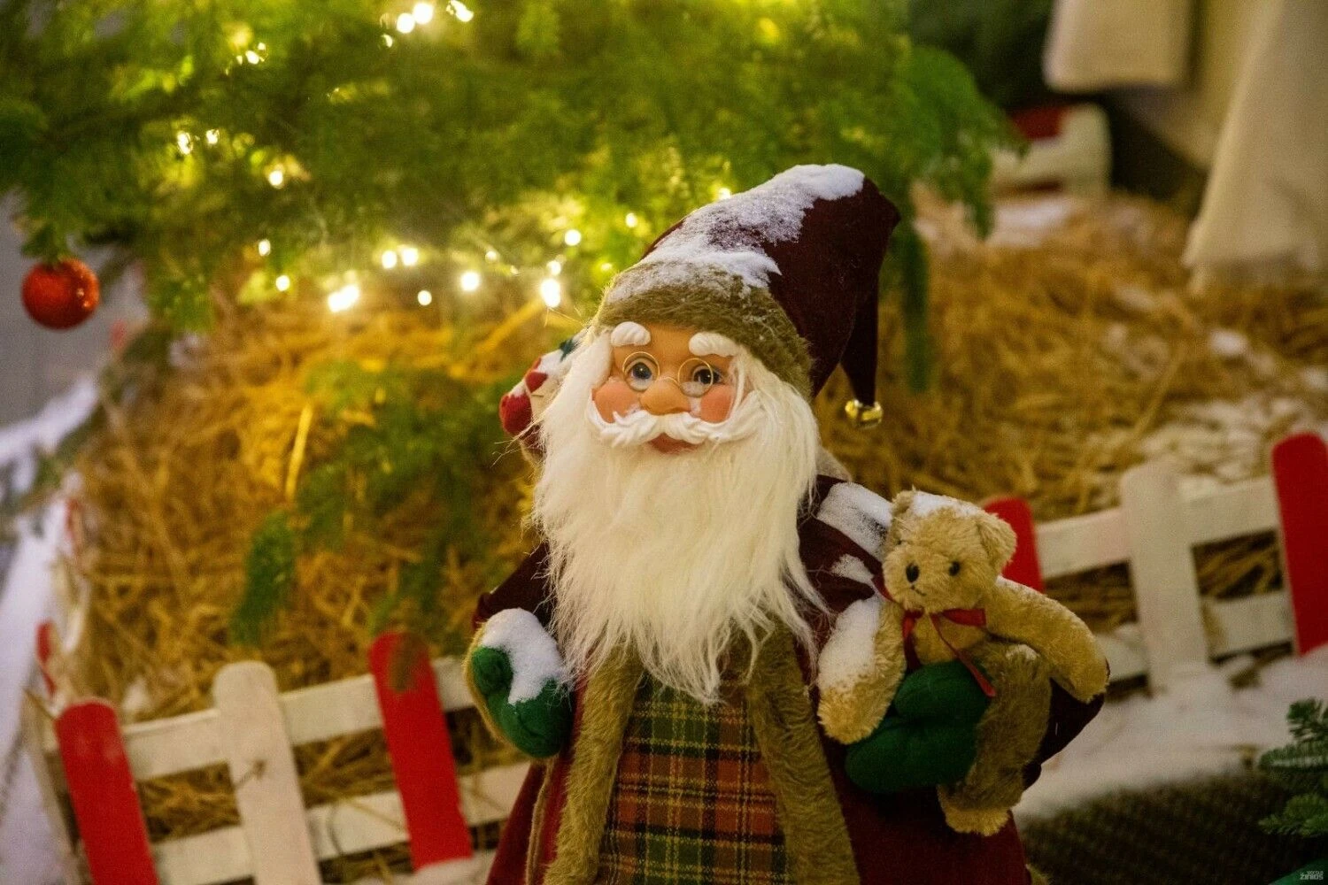 Vladimiro Ivanovo (VŽ) nuotr.