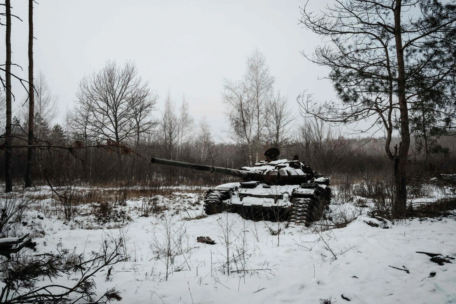 „Scanpix“ nuotr.