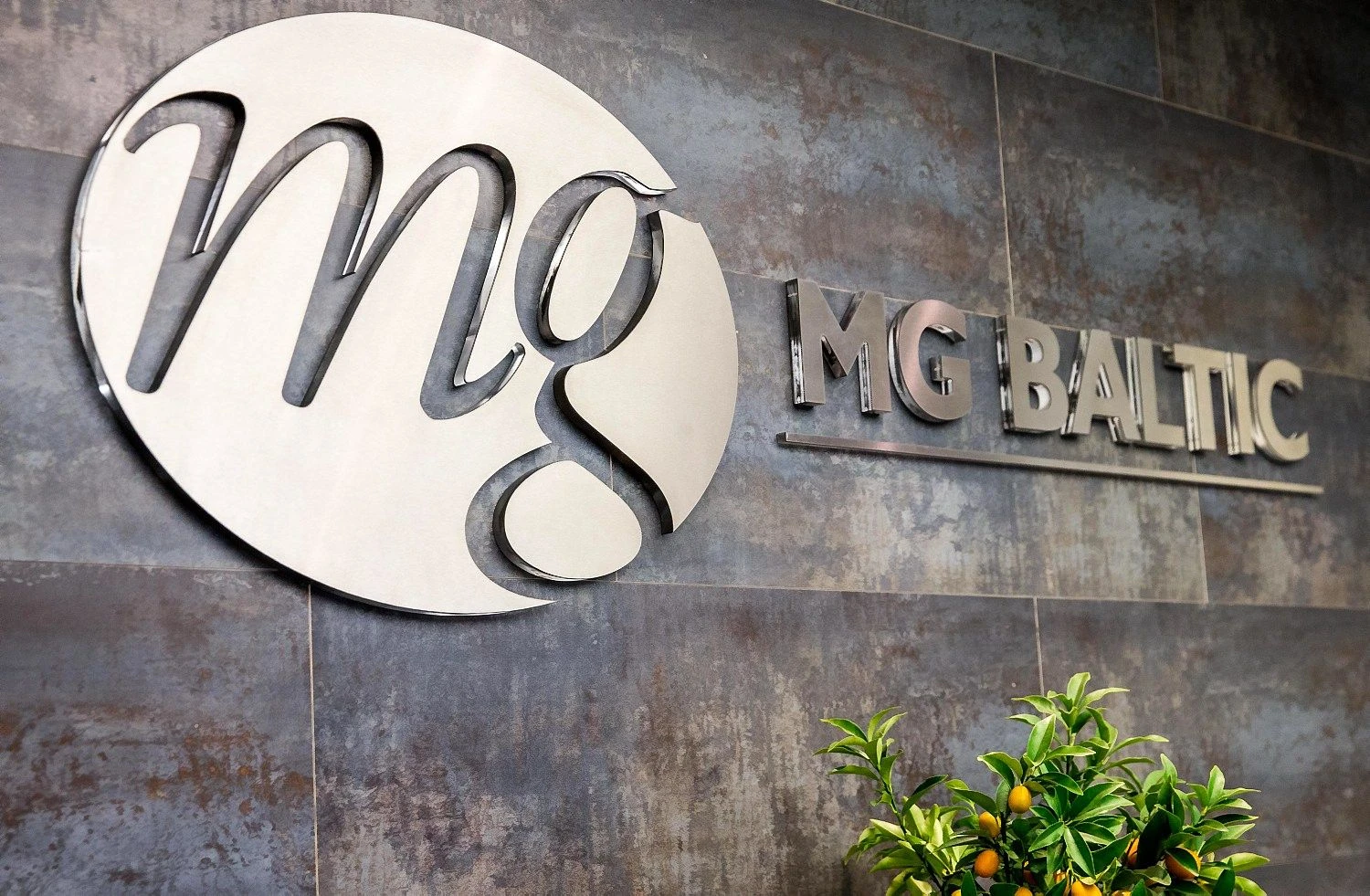 Juditos Grigelytės (VŽ) nuotr.