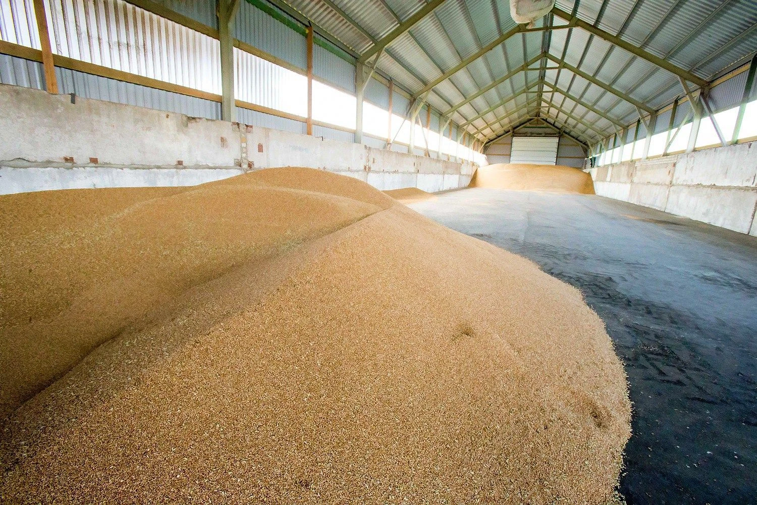 Vladimiro Ivanovo (VŽ) nuotr.