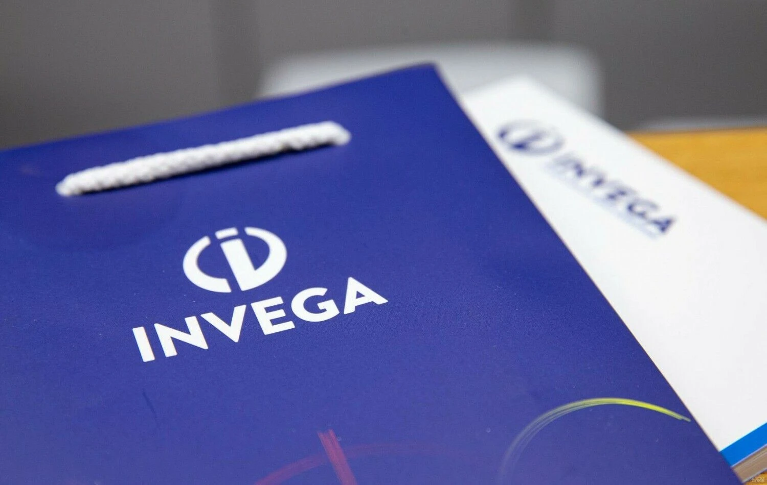 „Investicijų ir verslo garantijos“ (Invegos) logotipas. Juditos Grigelytės (VŽ) nuotr.