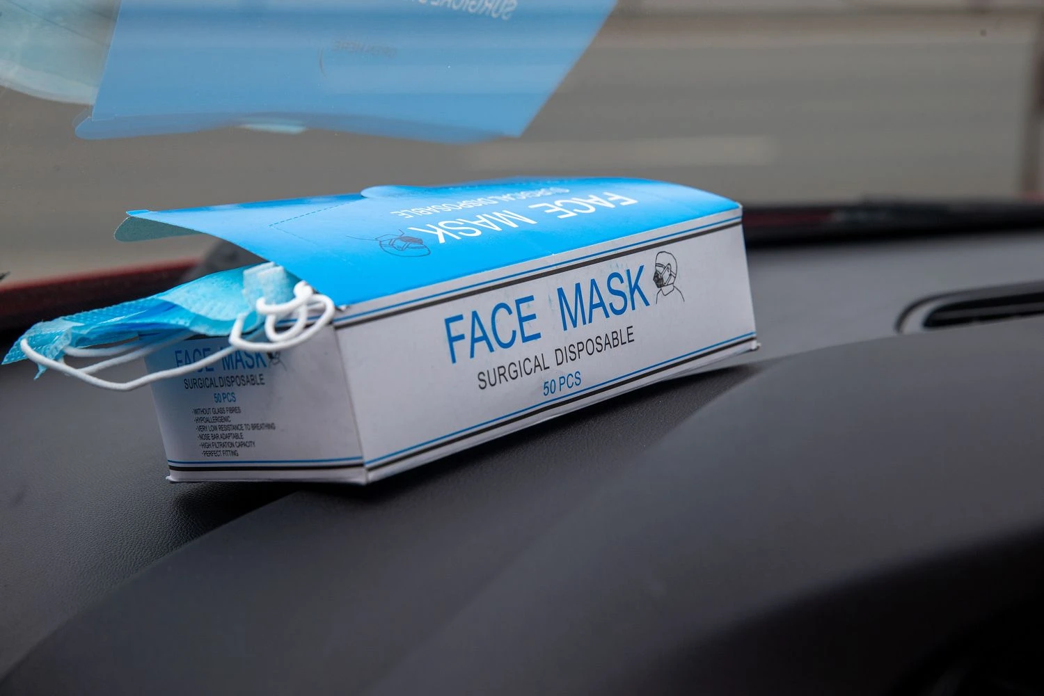 Vladimiro Ivanovo (VŽ) nuotr.