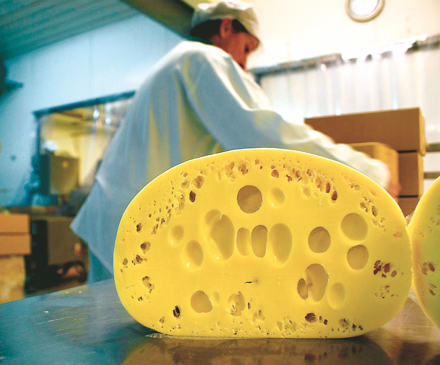 Pieno produktų eksportas į Vokietiją pirmąjį ketvirtį smuko tris kartus. Algimanto Kalvaičio nuotr.