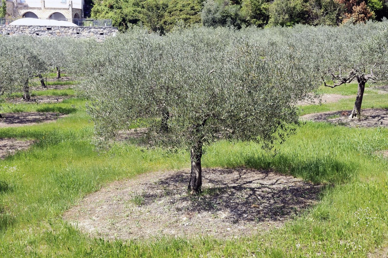 Gilleso Paire'o („Scanpix“) nuotr.