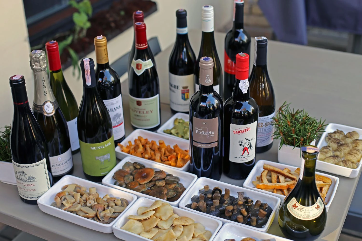Grybų ir vyno derinimo sesijai pasirengta. Justinos Gedgaudaitės nuotr.