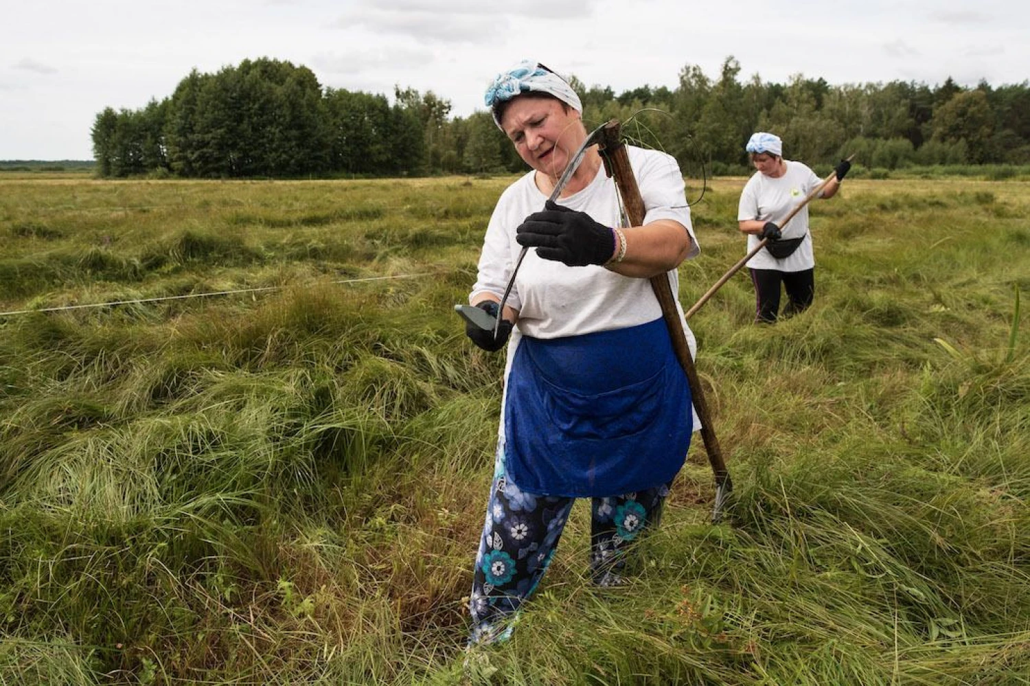 Šienpjovių čempionato rengėjų nuotr. 