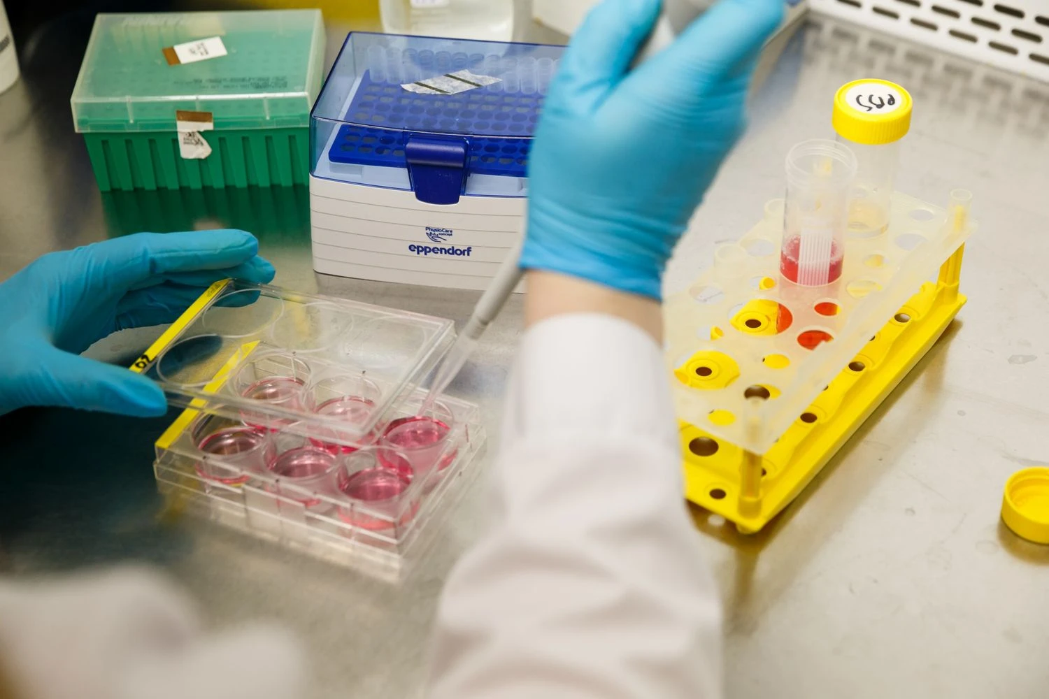 Vladimiro Ivanovo (VŽ) nuotr.