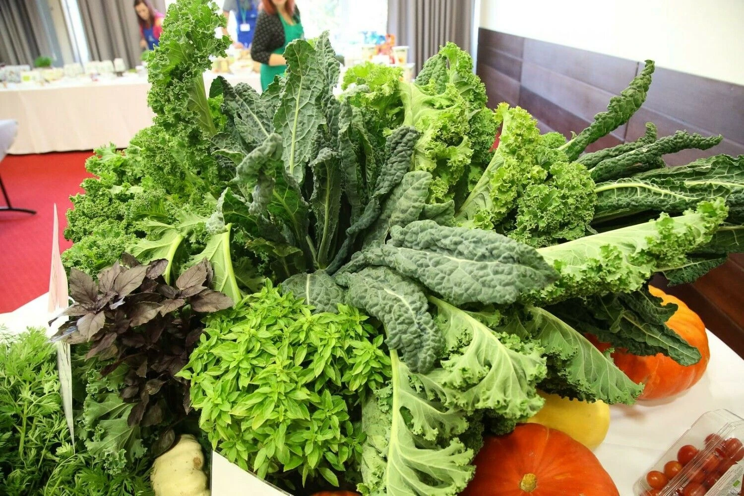 Vladimiro Ivanovo (VŽ) nuotr.